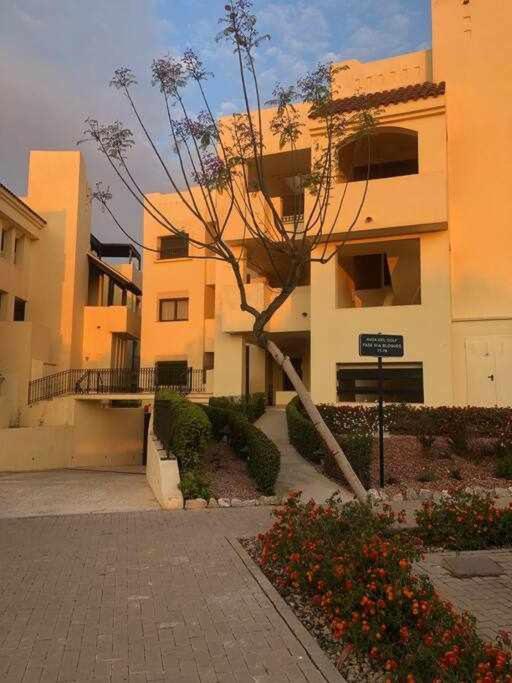 Casa Palmera ซานคาเวียร์ ภายนอก รูปภาพ